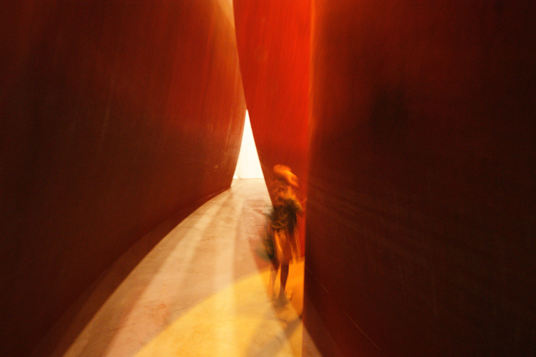search_serra25