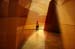 search_serra29
