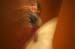 search_serra5