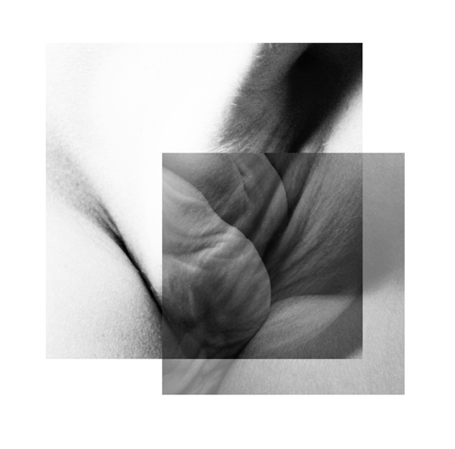 human_landscape4